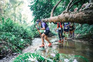 BIB: 
                            <button type="button" onclick="openModal(25459409)" class="btn btn-primary btn-sm float-right btn-popup" data-toggle="modal" data-target=".modal-high-quality">
                        <i class="fas fa-shopping-cart"></i> Add to Cart
                    </button>
                                            <button type="button" onclick="isThisMe(25459409, true)" class="btn btn-success btn-sm float-right btn-popup btn-isme hidden" data-toggle="tooltip" data-placement="bottom" title="นี่คือรูปของคุณใช่ไหม คลิกที่นี่เพื่อเอาเข้าอัลบั้ม">
                        <i class="fas fa-plus"></i> Add to album
                    </button>
                    <button type="button" onclick="isThisMe(25459409, false)" class="btn btn-warning btn-sm float-right btn-popup btn-isnotme hidden">
                        <i class="fas fa-ban"></i> Remove from album
                    </button>